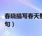 春曉描寫春天景物的詩句（描寫春天景物的詩句）