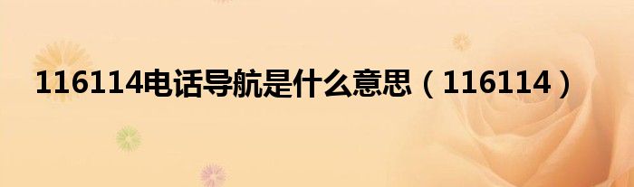 116114電話(huà)導(dǎo)航是什么意思（116114）