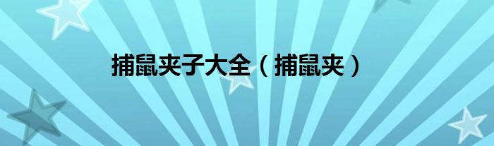 捕鼠夾子大全（捕鼠夾）