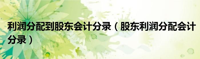 利潤(rùn)分配到股東會(huì)計(jì)分錄（股東利潤(rùn)分配會(huì)計(jì)分錄）