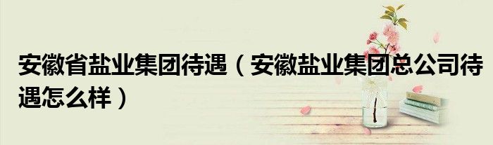 安徽省鹽業(yè)集團(tuán)待遇（安徽鹽業(yè)集團(tuán)總公司待遇怎么樣）