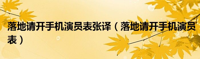 落地請(qǐng)開手機(jī)演員表張譯（落地請(qǐng)開手機(jī)演員表）