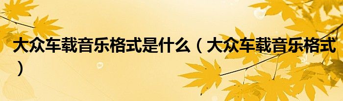 大眾車載音樂格式是什么（大眾車載音樂格式）