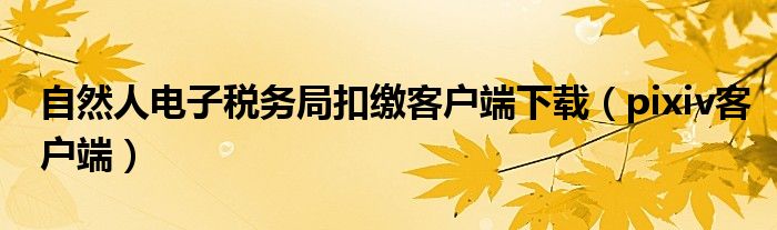 自然人電子稅務(wù)局扣繳客戶端下載（pixiv客戶端）