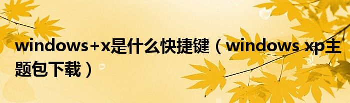 windows+x是什么快捷鍵（windows xp主題包下載）