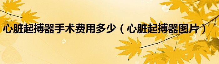 心臟起搏器手術(shù)費(fèi)用多少（心臟起搏器圖片）