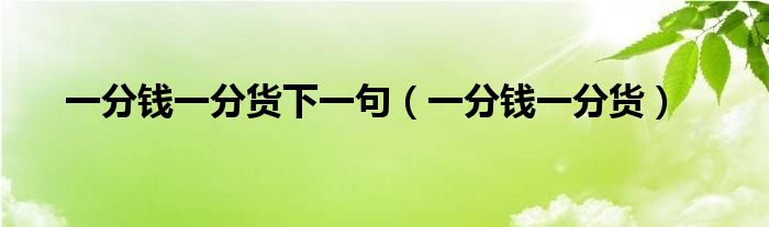 一分錢一分貨下一句（一分錢一分貨）
