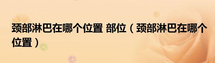 頸部淋巴在哪個(gè)位置 部位（頸部淋巴在哪個(gè)位置）
