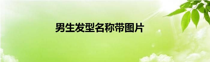 男生發(fā)型名稱帶圖片