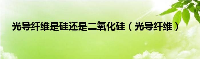光導纖維是硅還是二氧化硅（光導纖維）