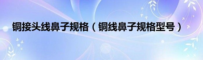 銅接頭線鼻子規(guī)格（銅線鼻子規(guī)格型號(hào)）