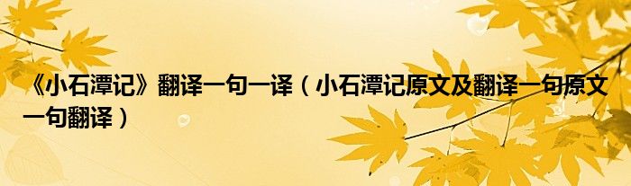 《小石潭記》翻譯一句一譯（小石潭記原文及翻譯一句原文一句翻譯）