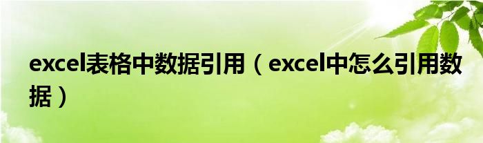 excel表格中數(shù)據(jù)引用（excel中怎么引用數(shù)據(jù)）