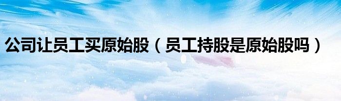 公司讓員工買原始股（員工持股是原始股嗎）