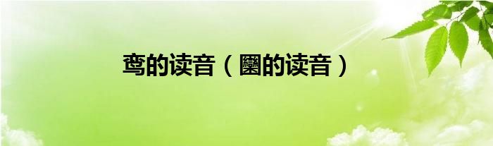 鸞的讀音（圞的讀音）
