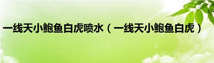 一線天小鮑魚(yú)白虎噴水（一線天小鮑魚(yú)白虎）