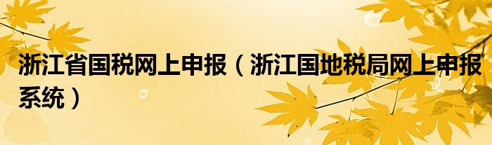 浙江省國(guó)稅網(wǎng)上申報(bào)（浙江國(guó)地稅局網(wǎng)上申報(bào)系統(tǒng)）