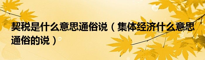 契稅是什么意思通俗說（集體經(jīng)濟(jì)什么意思 通俗的說）