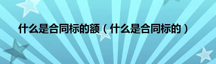 什么是合同標(biāo)的額（什么是合同標(biāo)的）