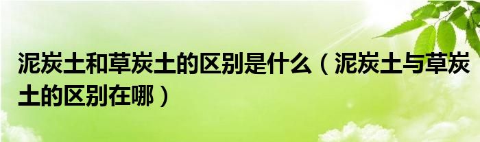 泥炭土和草炭土的區(qū)別是什么（泥炭土與草炭土的區(qū)別在哪）