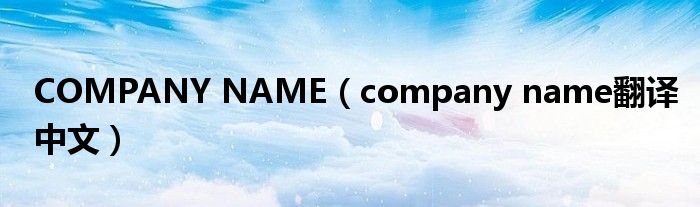 COMPANY NAME（company name翻譯中文）
