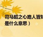 司馬昭之心路人皆知的典故怎么來的（司馬昭之心路人皆知是什么意思）