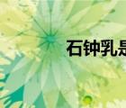 石鐘乳是什么東西（石鐘乳）
