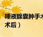 唾液腺囊腫手術后多久能吃飯（唾液腺囊腫手術后）