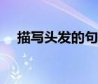 描寫頭發(fā)的句子摘抄（描寫頭發(fā)的句子）