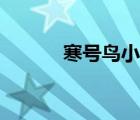 寒號鳥小說下載（寒號鳥小說）
