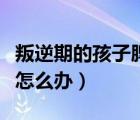 叛逆期的孩子脾氣暴躁怎么辦（孩子脾氣暴躁怎么辦）