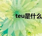teu是什么意思（teu是什么單位）