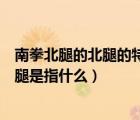 南拳北腿的北腿的特點(diǎn)和代表拳術(shù)（武林當(dāng)中所謂的南拳北腿是指什么）
