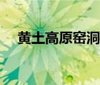 黃土高原窯洞建筑特點（黃土高原窯洞）