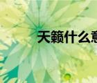 天籟什么意思呢（天籟什么意思）
