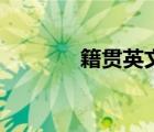 籍貫英文怎么寫（籍貫英文）