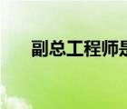 副總工程師是什么職務(wù)（副總工程師）
