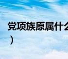 黨項(xiàng)族原屬什么族（黨項(xiàng)族是現(xiàn)在的什么民族）