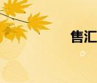 售匯會計分錄（售匯）