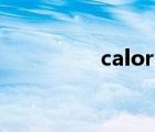 calory怎么讀（calory）