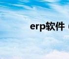 erp軟件（erp系統(tǒng)是什么意思）