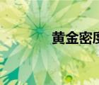黃金密度檢測(cè)法（黃金密度）
