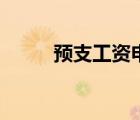 預(yù)支工資申請怎么寫（預(yù)支工資）