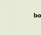 bool類型（bool）