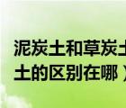 泥炭土和草炭土的區(qū)別是什么（泥炭土與草炭土的區(qū)別在哪）