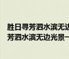 勝日尋芳泗水濱無邊光景一時新意思差不多的詩句（勝日尋芳泗水濱無邊光景一時新的意思）