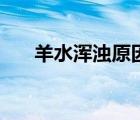 羊水渾濁原因怎么查（羊水渾濁原因）