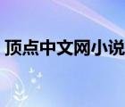 頂點中文網(wǎng)小說極品相師（頂點中文網(wǎng)小說）