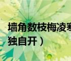 墻角數(shù)枝梅凌寒獨(dú)自開(kāi)賞析（墻角數(shù)枝梅凌寒獨(dú)自開(kāi)）