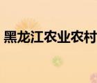 黑龍江農(nóng)業(yè)農(nóng)村信息網(wǎng)（黑龍江農(nóng)業(yè)信息網(wǎng)）